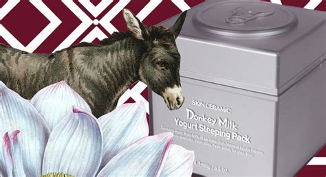 skin ceramic donkey milk yogurt